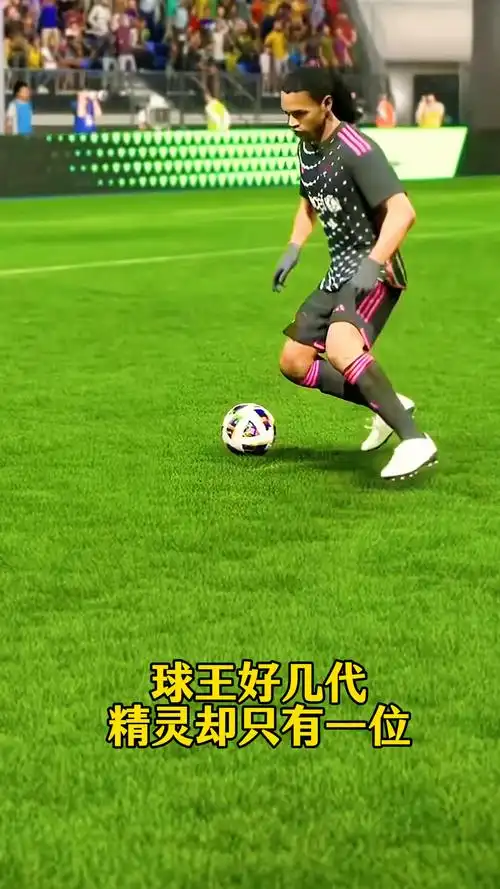引进的战略